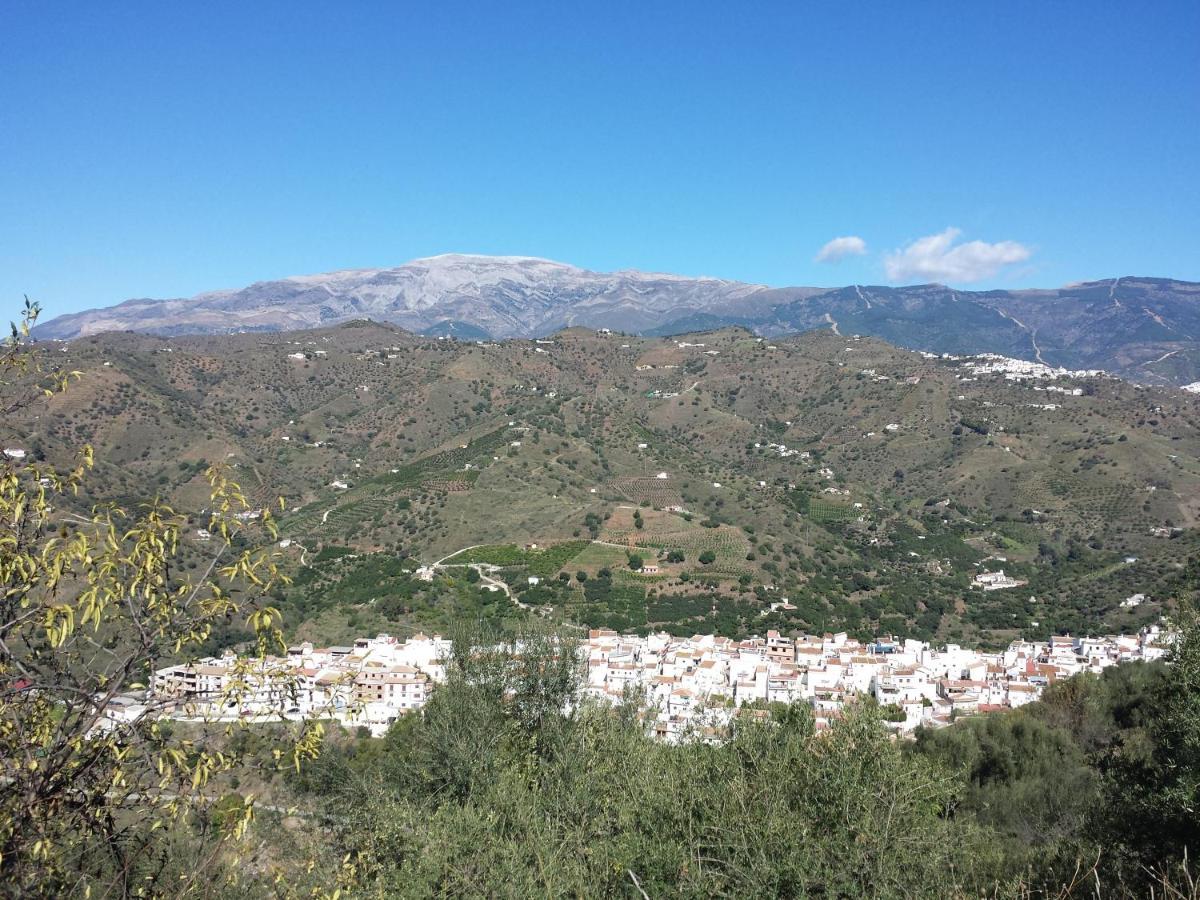 Villa Perla Blanca Sayalonga Eksteriør bilde